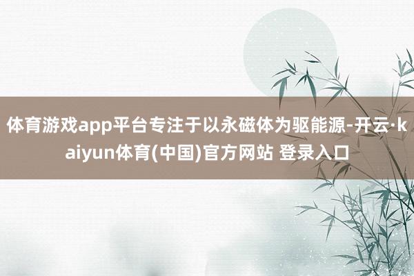 体育游戏app平台专注于以永磁体为驱能源-开云·kaiyun体育(中国)官方网站 登录入口