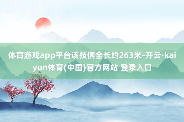 体育游戏app平台该技俩全长约263米-开云·kaiyun体育(中国)官方网站 登录入口
