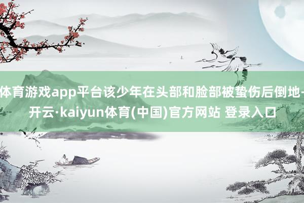 体育游戏app平台该少年在头部和脸部被蛰伤后倒地-开云·kaiyun体育(中国)官方网站 登录入口