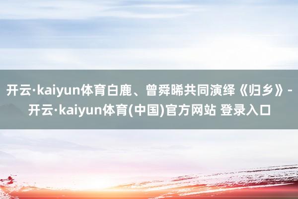 开云·kaiyun体育白鹿、曾舜晞共同演绎《归乡》-开云·kaiyun体育(中国)官方网站 登录入口